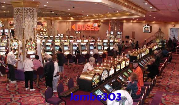 lambe303 Live Sportsbook Markets at Your Fingertips